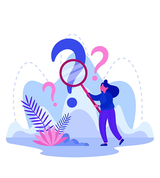 Sina Extension FAQ and support illustration
